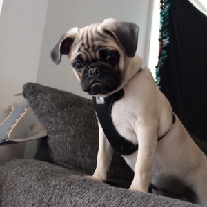 Fundraising Page: Andrea Day